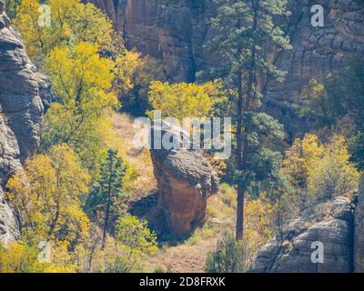 Sonniger Blick auf das Walnut Canyon National Monument in Arizona Stockfoto