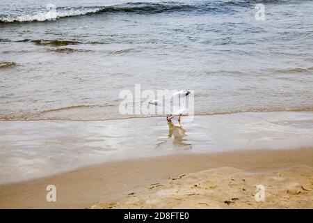 Sand am Strand Stockfoto