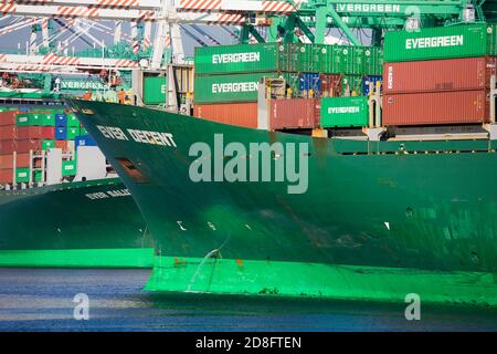 Immergrüne Containerschiff, San Pedro Port, Los Angeles, Kalifornien, USA Stockfoto