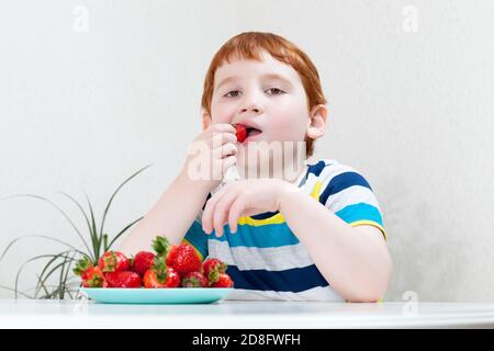 Ein Junge isst reife Erdbeeren Stockfoto