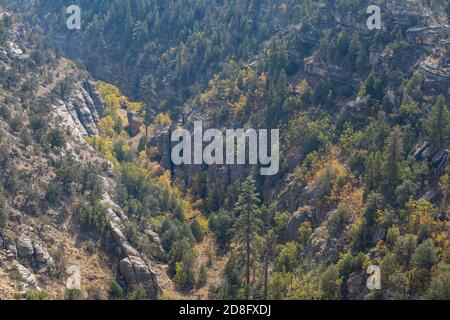 Sonniger Blick auf das Walnut Canyon National Monument in Arizona Stockfoto