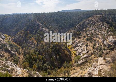 Sonniger Blick auf das Walnut Canyon National Monument in Arizona Stockfoto