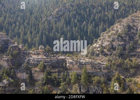 Sonniger Blick auf das Walnut Canyon National Monument in Arizona Stockfoto