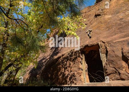 Wunderschöne Herbstfarbe um West Fork Wandergebiet in Sedona, Arizona Stockfoto