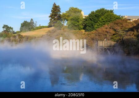 Dampf steigt aus einem geothermischen heißen Pool im Kuirau Park, Rotorua, Neuseeland Stockfoto