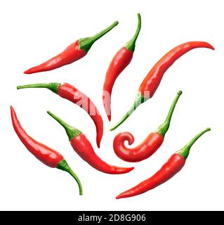Set von roten Chili-Pfeffer isoliert auf weißem Hintergrund Stockfoto