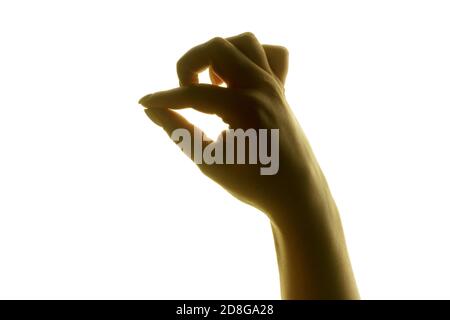 Silhouette der Hand einer Frau auf einem hellen weißen Hintergrund. Gesten und Wiedergabe. Stockfoto