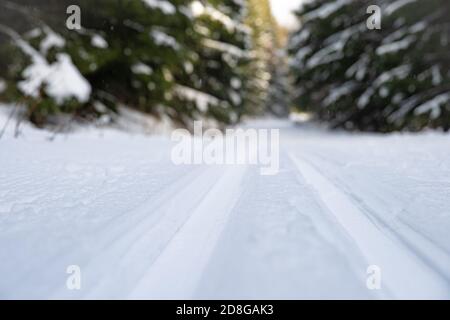 Fußabdrücke im Schnee für Langlauf Stockfoto