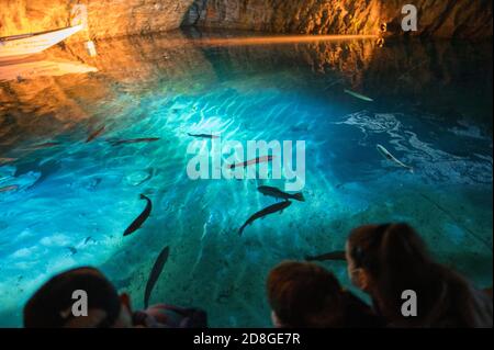 Forelle im Lac Souterrain de Saint-Léonard, Wallis Stockfoto