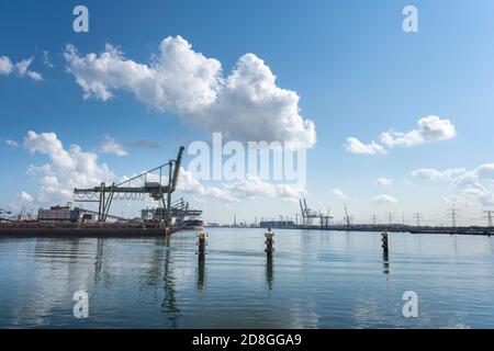 Hafen mit großen Kranen und Containern in Rotterdam, Holland. Stockfoto