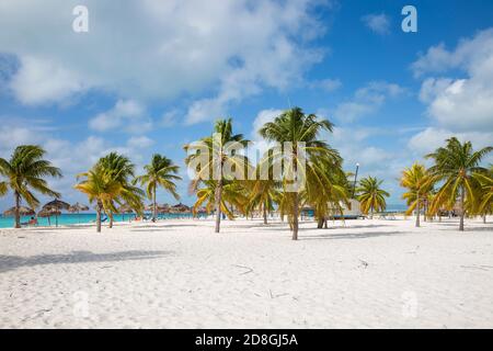 Kuba, Isla de la Juventud, Cayo Largo De Sur, Playa Sirena Stockfoto