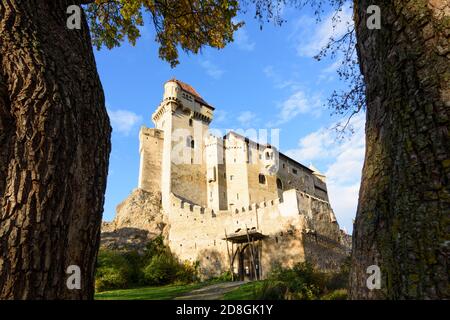 Maria Enzersdorf: Schloss Liechtenstein, Ursprungsort des Hauses Liechtenstein, Herbstblätter, Wienerwald, Wienerwald, Niederösterreich, Stockfoto