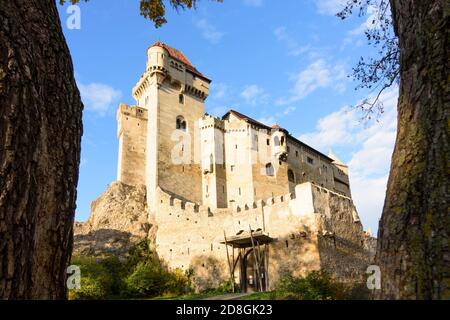 Maria Enzersdorf: Schloss Liechtenstein, Ursprungsort des Hauses Liechtenstein, Herbstblätter, Wienerwald, Wienerwald, Niederösterreich, Stockfoto