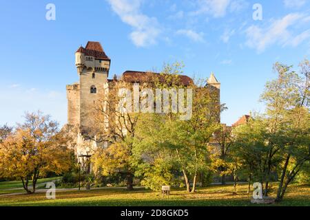 Maria Enzersdorf: Schloss Liechtenstein, Ursprungsort des Hauses Liechtenstein, Herbstblätter, Wienerwald, Wienerwald, Niederösterreich, Stockfoto