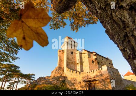 Maria Enzersdorf: Schloss Liechtenstein, Ursprungsort des Hauses Liechtenstein, Herbstblattfarben, fallendes Blatt, Wienerwald, Wienerwald, nie Stockfoto