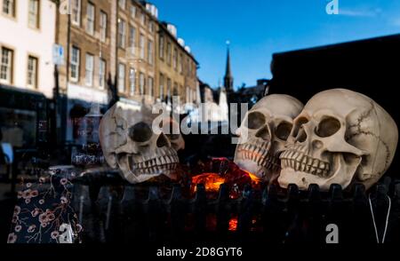East Lothian, Schottland, Großbritannien, 30. Oktober 2020. Halloween Dekorationen: Ein Geschäft in Haddington High Street mit einer Halloween-Ausstellung von Schädeln im Fenster Stockfoto