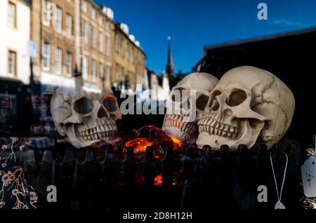 East Lothian, Schottland, Großbritannien, 30. Oktober 2020. Halloween Dekorationen: Ein Geschäft in Haddington High Street mit einer Halloween-Ausstellung von Schädeln im Fenster Stockfoto