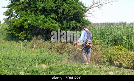 Senior Mann mäht Gras mit Benzin-Bürstenschneider. Mann mit Arbeitskleidung, Schutzbrille, schalldichten Kopfhörern und Arbeitshandschuhen. Ganzkörperansicht Stockfoto