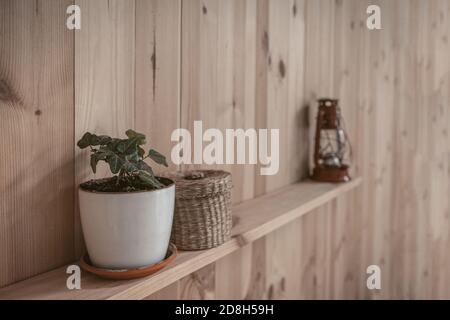 Der Topf mit der Pflanze steht auf einem Holzregal Neben einem Weidenkorb Stockfoto