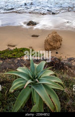 Porto Santo Beach Felsformationen - Portugal Stockfoto