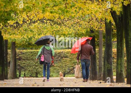 Dresden, Deutschland. Oktober 2020. Passanten gehen mit Sonnenschirmen entlang einer Allee von herbstlich gefärbten Bäumen. Quelle: Sebastian Kahnert/dpa-Zentralbild/ZB/dpa/Alamy Live News Stockfoto