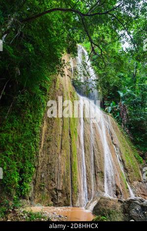 Vertikales Landschaftsfoto mit Wasserfall im tropischen Wald. Samana, Dominikanische Republik Stockfoto