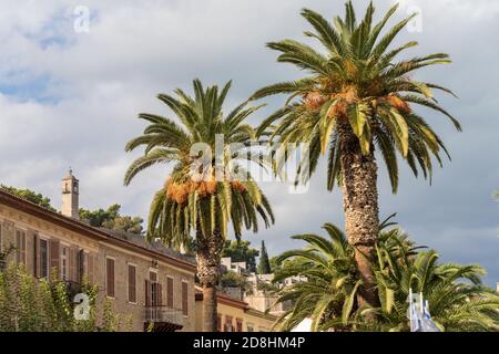 Nafplio eine hübsche Hafenstadt auf dem Peloponnes, Griechenland Es war die Hauptstadt der ersten hellenischen Republik und des Königreichs Griechenland Stockfoto