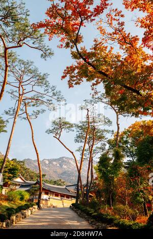 Herbst des Jingwansa Tempels mit Bukhansan Berg in Seoul, Korea Stockfoto