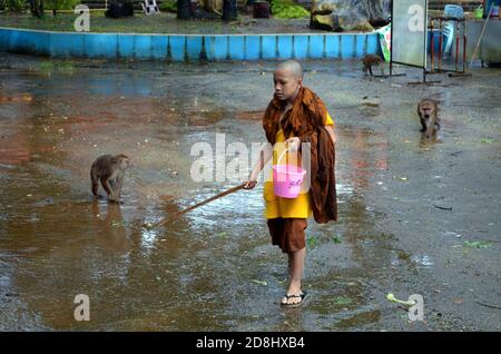 Thampla, Thailand - Buddhist Boy & Monkeys auf dem Tempelgelände Stockfoto