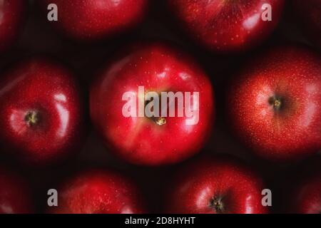 Draufsicht auf rote köstliche reife Garten süße Äpfel. Reiche Ernte von köstlichen Früchten. Vegetarismus. Stockfoto
