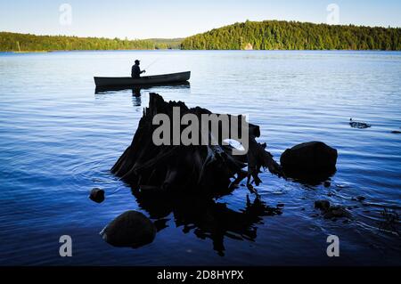 Kanufahren im Algonquin Provincial PARK in Ontario, KANADA. Stockfoto