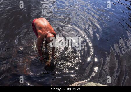 Schwimmen beim Kanufahren im Algonquin Provincial PARK in Ontario, KANADA. Stockfoto