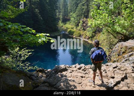 Wandern steht über dem Blue Pool, Tamolitch Falls, McKenzie River, Oregon, USA, ein beliebter und wirklich kalter Badeplatz. Stockfoto