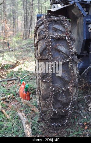 Der kleine mechanisierte Logger verwendet einen Forwarder, um geerntete Baumstämme in Montpelier, im Zentrum von Vermont, USA, zu bewegen. Stockfoto