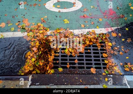 Farbenfrohe Herbstfärbung im Chelsea-Viertel von New York verstopft teilweise einen Sturmabfluss, von den Überresten des Hurrikans Zeta, am Donnerstag, 29. Oktober 2020 (© Richard B. Levine) Stockfoto