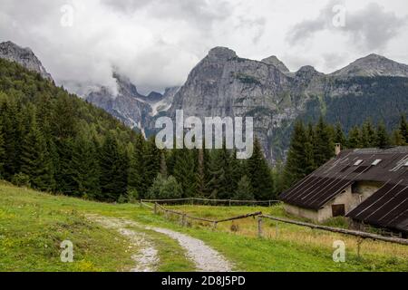 Dolomiten, Brenta. Schöner nebliger Tag im kalten Sommertag in Moveno, Italien Stockfoto