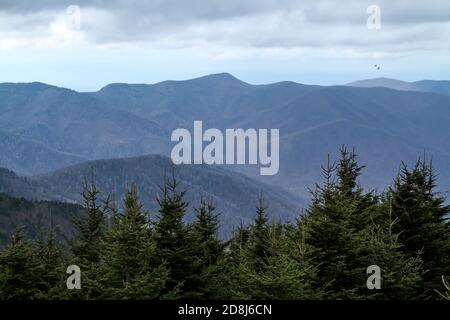 Ein Blick auf die Blue Ridge Mountains von North Carolina vom Gipfel des Mount Mitchell, dem höchsten Gipfel östlich des Mississippi River mit 6,684 Fuß Höhe. Stockfoto