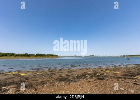 Strand von Conleau, Vannes - Golf von Morbihan, Bretagne, Frankreich Stockfoto
