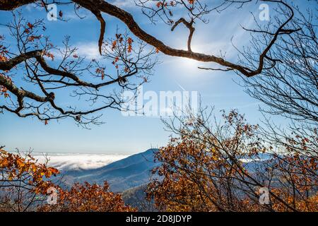 Hochwinkel Luftbild Blick vom Tauchwanderweg, Wintergreen Virginia auf Blue Ridge Appalachian Berge in Rockfish Tal im Herbst fa Stockfoto