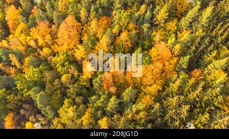 Herbstwald Landschaft Blick von oben. Bunte Natur Hintergrund. Herbst Wald Luft Drohne view.Idyllischen Herbst Landschaft aus der Vogelperspektive.Bäume Stockfoto