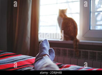 Liegen und Entspannen im Bett an einem sonnigen Tag, Katze sitzt auf dem Fenster. Stockfoto