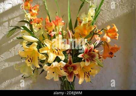 Bouquet de lys nuance de jaunes Stockfoto