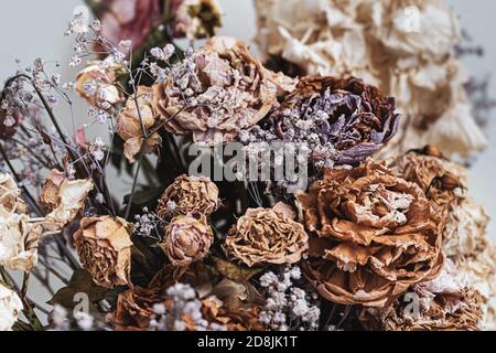 Trockenes Bouquet. Nahaufnahme von getrockneten Blumen in einem Blumenstrauß. Leben und Tod Konzept. Verwelkte Blume Hintergrund Stockfoto