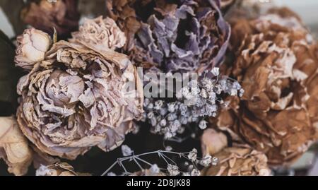 Trockenes Bouquet. Nahaufnahme von getrockneten Blumen in einem Blumenstrauß. Leben und Tod Konzept. Verwelkte Blume Hintergrund Stockfoto