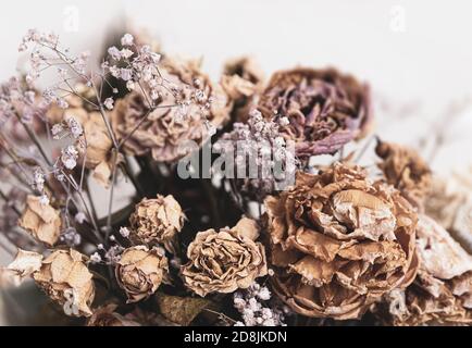 Trockenes Bouquet. Nahaufnahme von getrockneten Blumen in einem Blumenstrauß. Leben und Tod Konzept. Verwelkte Blume Hintergrund Stockfoto