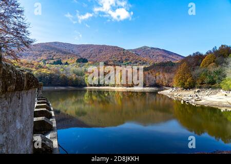 Montseny tiefen Wald bunten Herbst in Katalonien, Spanien. Stockfoto