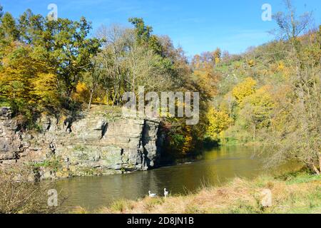Hardegg: Thayatal Nationalpark, Herbstblätter, Felsen am Fluss Thaya, Weinviertel, Niederösterreich, Niederösterreich, Österreich Stockfoto