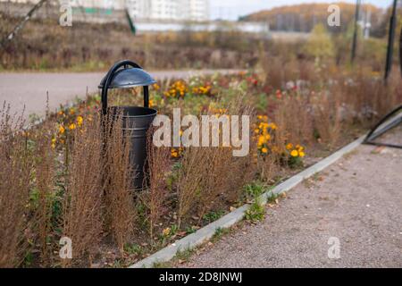 Abfalleimer im Park, Abfalleimer aus Metall auf dem Rasen in der freien Natur vor dem Hintergrund der Birke, am Nachmittag bei sonnigem Wetter Stockfoto