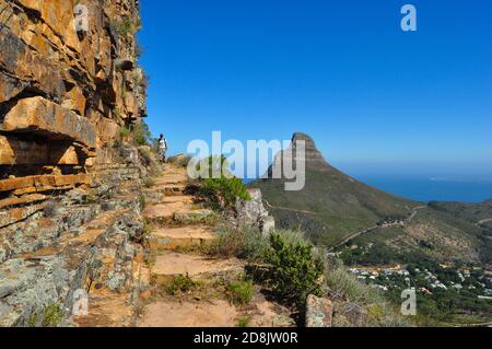 Wanderweg am Tafelberg und Blick auf Lion's Head Berg in der Ferne, Table Mountain Nationalpark, Kapstadt, Südafrika Stockfoto