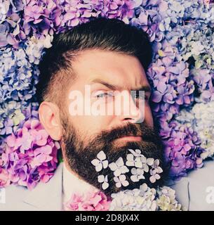 Fliege mit Blumen. Eleganter Business-Mann mit klassischem Kostüm. Mann in blauem Anzug. Bärtiger Mann und Blumenbart. Federhalsband. Eleganter Geschäftsmann mit Stockfoto